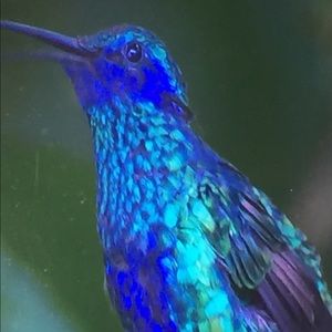 Meet your Posher, Stacey